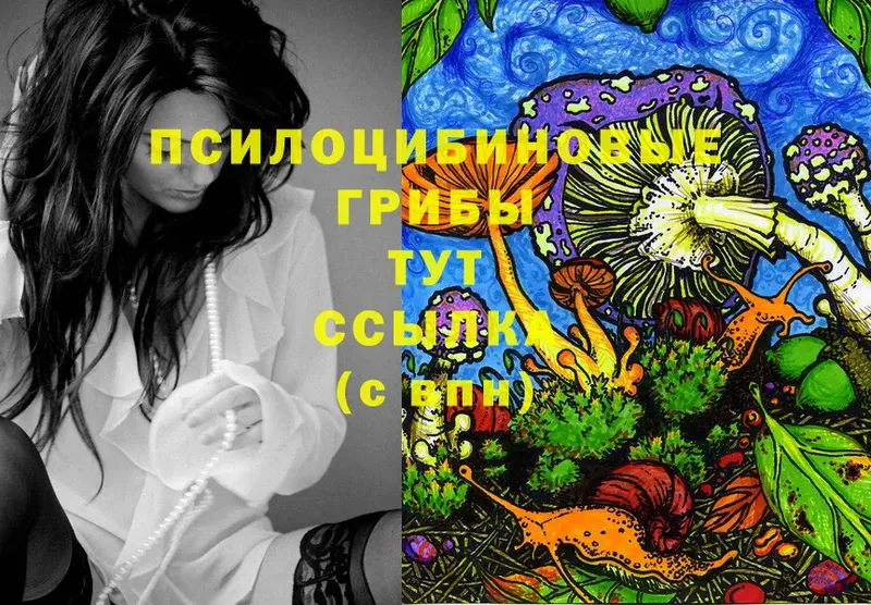 Псилоцибиновые грибы Magic Shrooms  Коммунар 